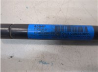 55276321AB Амортизатор капота Dodge Ram (DR / DH) 2001-2009 21006843 #2