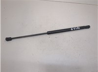 55276321AB Амортизатор капота Dodge Ram (DR / DH) 2001-2009 21006843 #3