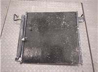  Радиатор кондиционера Infiniti QX56 2004-2010 21008798 #1