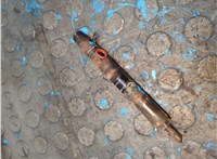 166001137R, EJBR05102D Форсунка топливная Renault Clio 2005-2009 21010004 #1