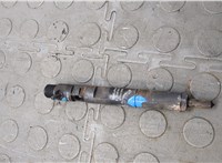 166001137R, EJBR05102D Форсунка топливная Renault Clio 2005-2009 21010004 #8