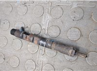 166001137R, EJBR05102D Форсунка топливная Renault Clio 2005-2009 21010004 #9