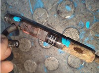 166001137R, EJBR05102D Форсунка топливная Renault Clio 2005-2009 21010014 #7