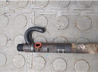 166001137R, EJBR05102D Форсунка топливная Renault Clio 2005-2009 21010014 #8