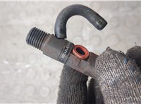 166001137R, EJBR05102D Форсунка топливная Renault Clio 2005-2009 21010014 #9