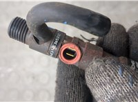 166001137R, EJBR05102D Форсунка топливная Renault Clio 2005-2009 21010014 #10