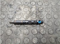 166001137R, EJBR05102D Форсунка топливная Renault Clio 2005-2009 21010016 #2