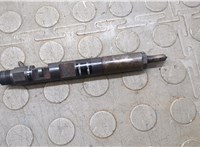 166001137R, EJBR05102D Форсунка топливная Renault Clio 2005-2009 21010016 #8