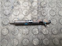 166001137R, EJBR05102D Форсунка топливная Renault Clio 2005-2009 21010017 #2