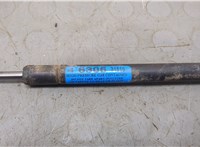 2L7Z16C826AA Амортизатор капота Lincoln Navigator 2002-2006 21012318 #2