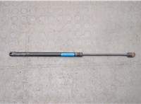 2L7Z16C826AA Амортизатор капота Lincoln Navigator 2002-2006 21012320 #1