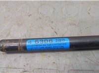 2L7Z16C826AA Амортизатор капота Lincoln Navigator 2002-2006 21012320 #2