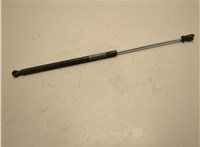 4580770AD Амортизатор капота Chrysler 300M 1998-2004 21014176 #1