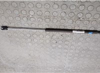 4580770AD Амортизатор капота Chrysler 300M 1998-2004 21014176 #3