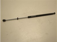 4580771AD Амортизатор капота Chrysler 300M 1998-2004 21014179 #1