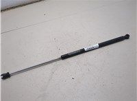 4580771AD Амортизатор капота Chrysler 300M 1998-2004 21014179 #3