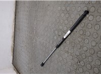 4580771AD Амортизатор капота Chrysler 300M 1998-2004 21014179 #5