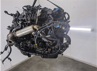 1679684, RM7M5Q6006AA Двигатель (ДВС на разборку) Ford Focus 2 2008-2011 21015374 #12