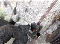  Компрессор кондиционера Subaru Tribeca (B9) 2004-2014 21017912 #4