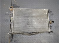 1830143 Радиатор охлаждения двигателя Ford Transit (Tourneo) Connect 2012-2018 21025011 #1