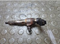 1791017, 2079589, AV6Q9F593AD, 9802448680 Форсунка топливная Ford C-Max 2010-2015 21028160 #1