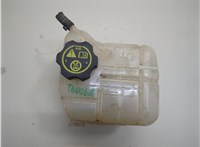  Бачок расширительный Opel Insignia 2008-2017 21028797 #1