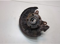 RUB000040 Ступица (кулак, цапфа) Land Rover Freelander 1 1998-2006 21030084 #1