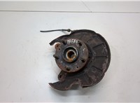 RUB000050 Ступица (кулак, цапфа) Land Rover Freelander 1 1998-2006 21030089 #1