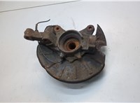 RUB000050 Ступица (кулак, цапфа) Land Rover Freelander 1 1998-2006 21030089 #2