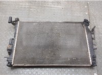  Радиатор охлаждения двигателя Opel Insignia 2017-2022 21030770 #1