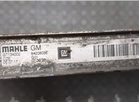  Радиатор охлаждения двигателя Opel Insignia 2017-2022 21030770 #8