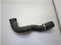 13444877 Патрубок интеркулера Opel Insignia 2017-2022 21033908 #1
