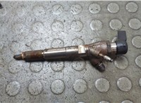 1660000Q1W, 8201100113 Форсунка топливная Nissan Qashqai 2013-2022 21035516 #1