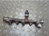  Рампа (рейка) топливная Opel Movano 2010- 21036761 #1