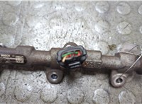  Рампа (рейка) топливная Opel Movano 2010- 21036761 #3