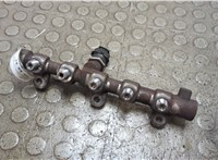  Рампа (рейка) топливная Opel Movano 2010- 21036761 #4