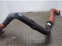  Патрубок интеркулера Opel Movano 2010- 21036762 #3