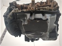 1709003, 1749287, 1433147 Блок цилиндров (Шорт блок) Ford Transit 2006-2014 21038223 #5