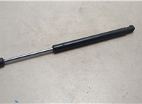 FL7Z16C826A Амортизатор капота Lincoln Navigator 2006-2014 21039553 #1