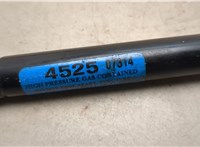 FL7Z16C826A Амортизатор капота Lincoln Navigator 2006-2014 21039553 #2