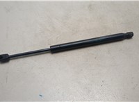 FL7Z16C826A Амортизатор капота Lincoln Navigator 2006-2014 21039558 #1