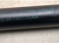 FL7Z16C826A Амортизатор капота Lincoln Navigator 2006-2014 21039558 #2