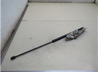  Амортизатор капота Mercedes S W220 1998-2006 11741334 #1