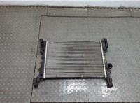  Радиатор охлаждения двигателя Opel Adam 21044102 #1