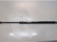 LJ6Z78406A11AC Амортизатор капота Ford Escape 2019-2022 21044723 #1