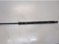 LJ6Z78406A10AC Амортизатор капота Ford Escape 2019-2022 21044728 #1