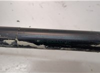 LJ6Z78406A10AC Амортизатор капота Ford Escape 2019-2022 21044728 #2