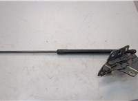 A1669802464 Амортизатор капота Mercedes GL X166 2012-2016 11741894 #1