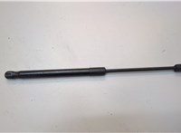  Амортизатор капота BMW X5 E70 2006-2013 21045024 #1