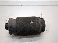 A1663200325 Пневмоподушка Mercedes GL X166 2012-2016 21045454 #1
